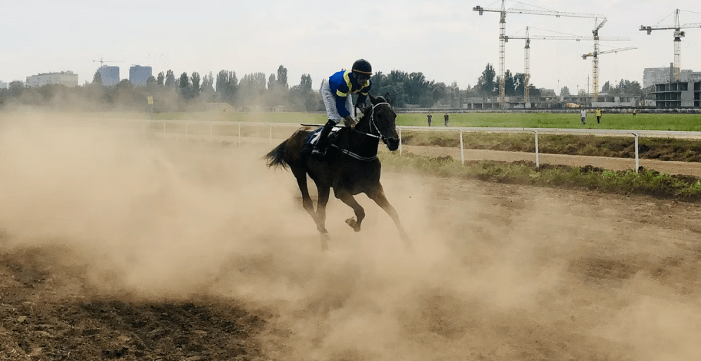 In horse racing, how does a Patent bet work