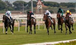 What do P and D mean in horse racing