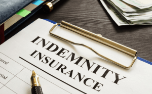 What is the Significance of Indemnity Insurance