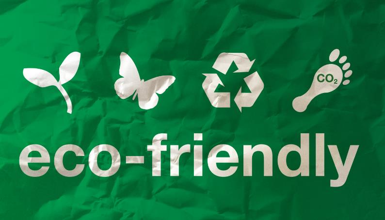 Make Your Business Eco Friendly with These Steps