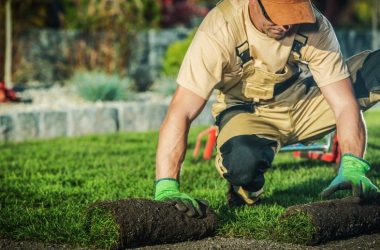 Benefits of Hiring a Professional Landscaping Company