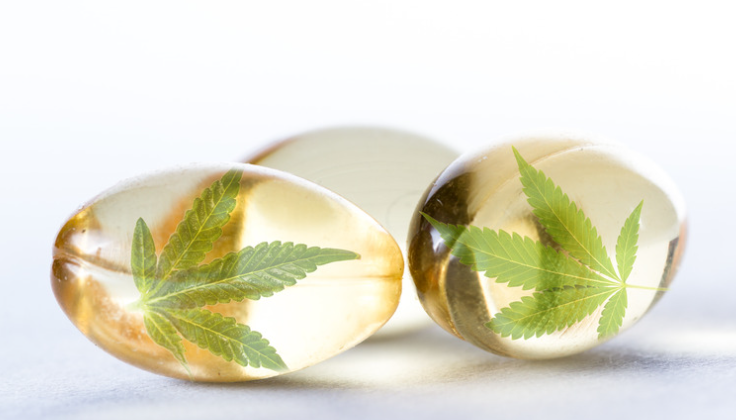 Benefits of CBD Oil and Ayurveda Supplements in Supplements