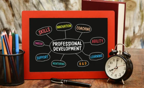 Provide professional development support