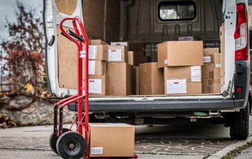 What Are the Services That Include Sunday Delivery