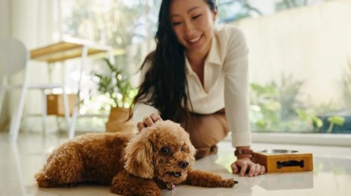 Creating A Safe Home Environment 