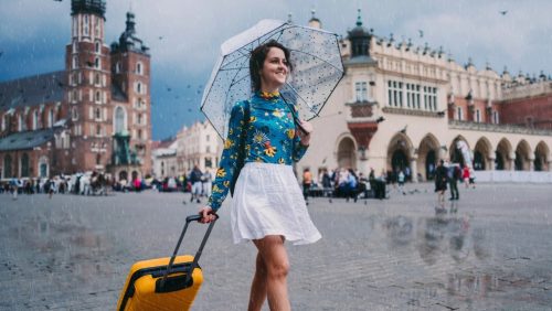 Travel Made Effortless