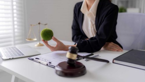 Environmental Regulations and Sustainability Expectations